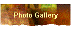 Photo Gallery